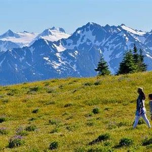 Meet your Posher, Willie